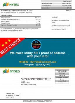 Massachusetts Boston NYSEG electricity utility bill Sample Fake utility bill